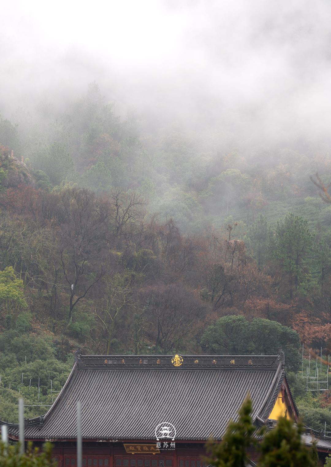 影像|壮观平流雾,云海中的城市恍若仙境_澎湃号·湃客_澎湃新闻-The Paper