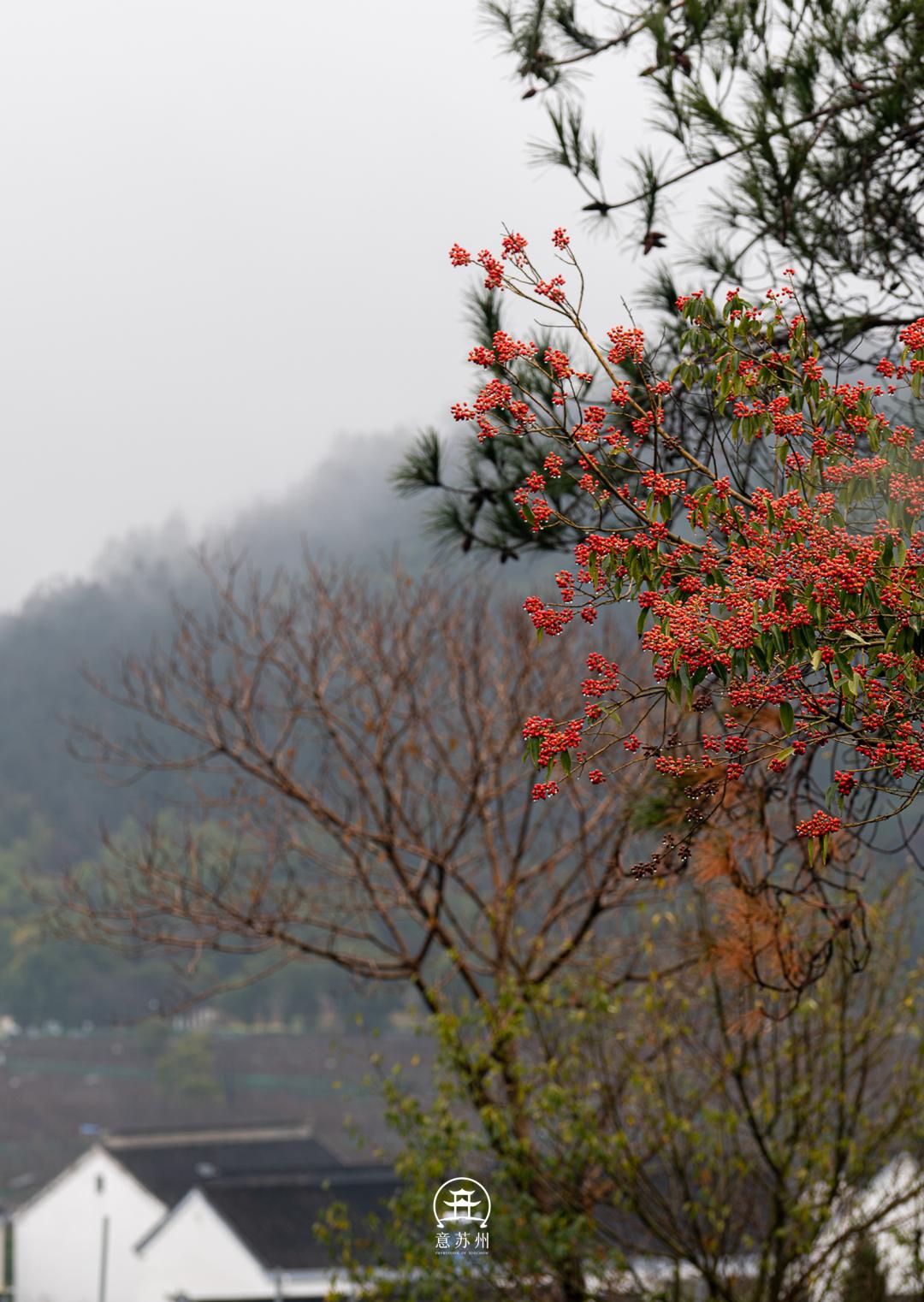影像|壮观平流雾,云海中的城市恍若仙境_澎湃号·湃客_澎湃新闻-The Paper