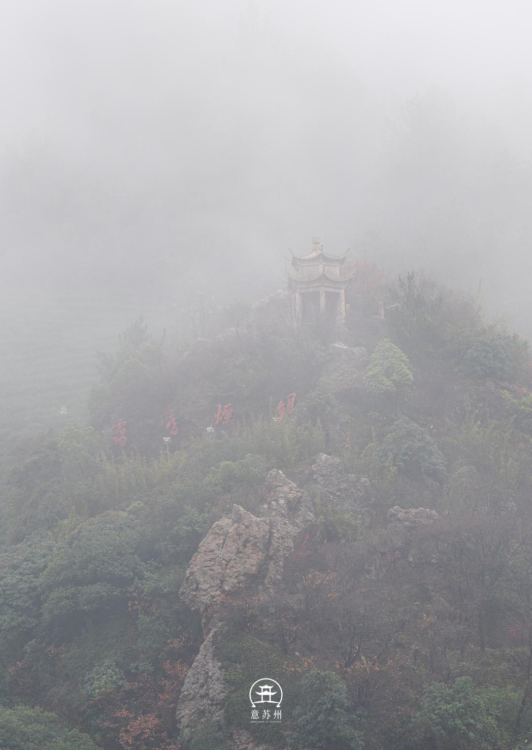 影像|壮观平流雾,云海中的城市恍若仙境_澎湃号·湃客_澎湃新闻-The Paper