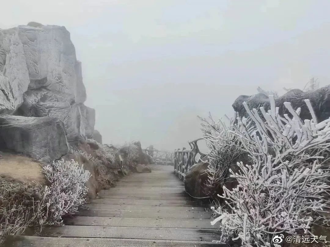 广东下雪了！一夜断崖式下降10℃，144个寒冷预警生效 | 自由微信 | FreeWeChat