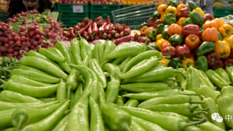 联合国粮农组织统计数据库新增食物价值链模块