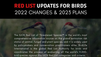 绿会国际部受邀参加IUCN鸟类红色名录研讨会 | 1月16日21:00召开