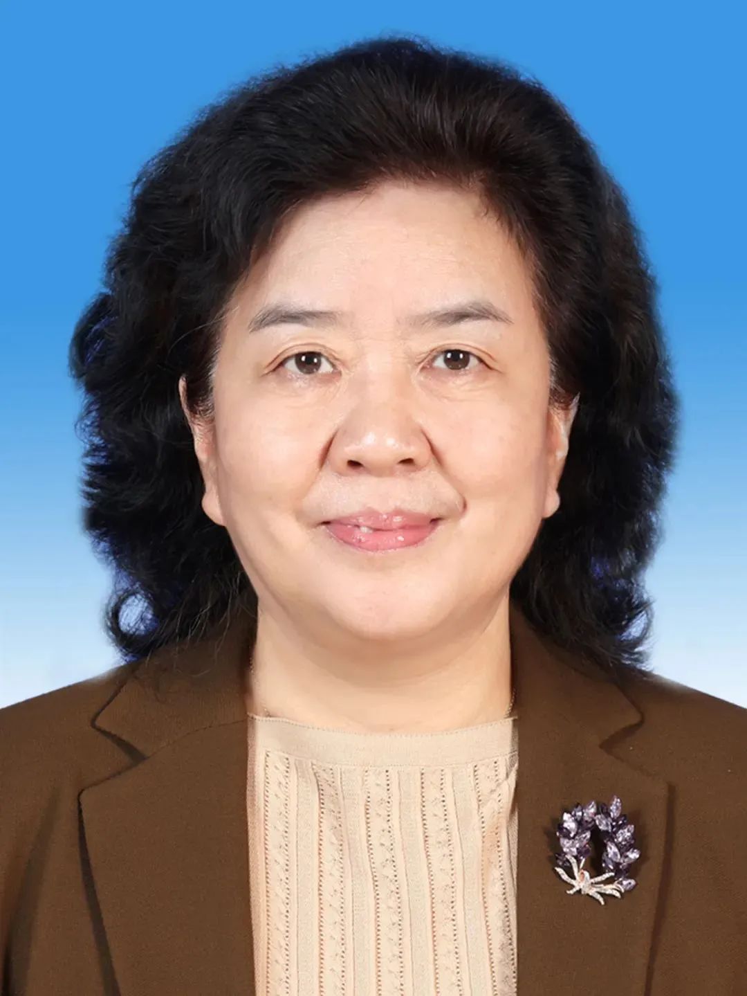 省十四届人大常委会主任,副主任简历 省长,副省长简历等_澎湃号·媒体