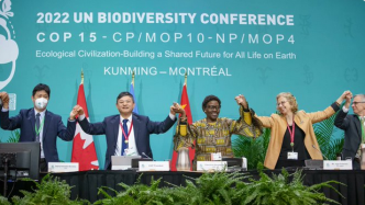 CBD提名专家参加《昆明-蒙特利尔全球生物多样性框架》指标特设技术专家组