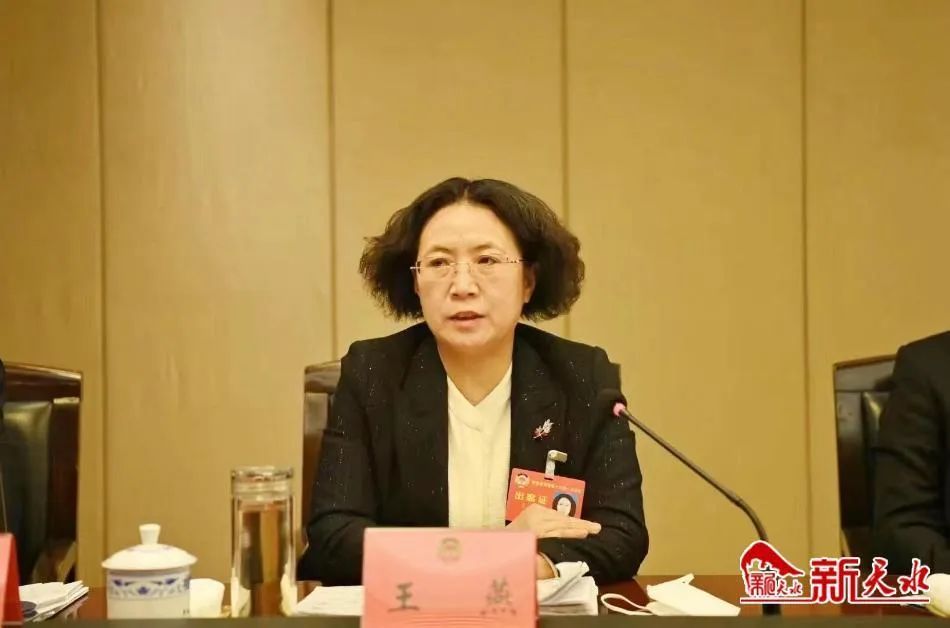 王燕参加省政协十三届一次会议分组讨论时表示：发挥政协优势 勇于担当作为 助推经济社会高质量发展_澎湃号·媒体_澎湃新闻-The Paper