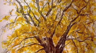树碑立传丨甪直古镇的银杏树