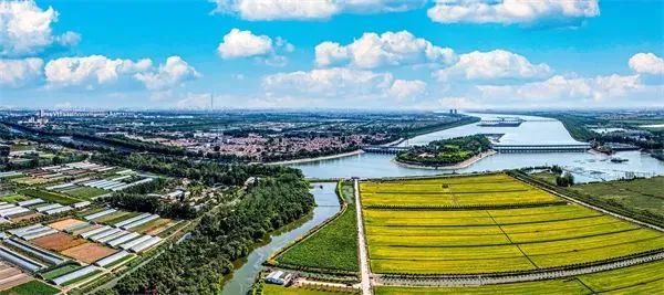 天津花卉市场几点关门