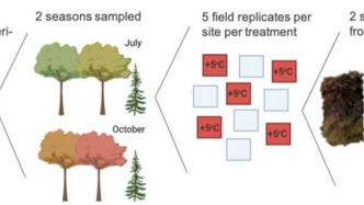 新研究：全球变暖对土壤微生物的碳循环有何影响？