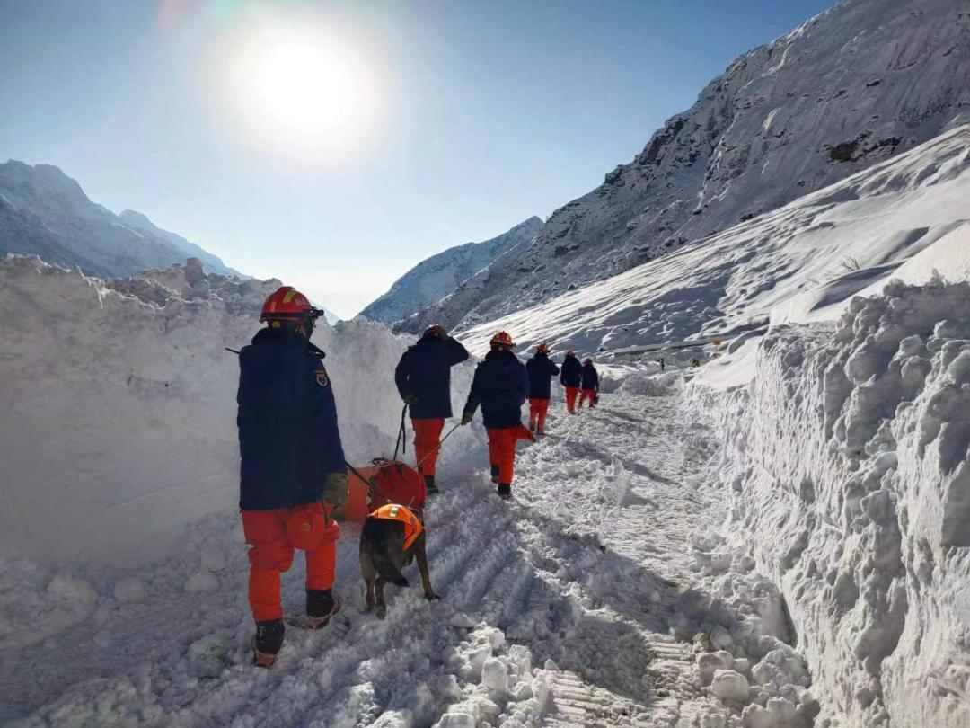 现场仍在搜救！西藏林芝派墨公路雪崩遇难人数增至28人_凤凰网视频_凤凰网