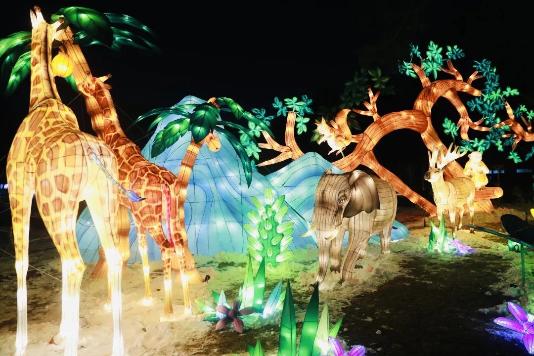 游客体验到油纸伞街,精彩演出……月光宝盒迷宫,动物主题花灯时光隧道