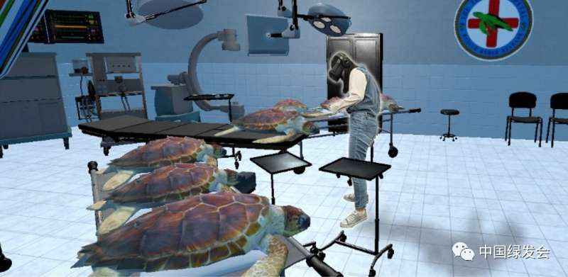 虚拟现实模拟技术让人类以海龟的视角观察世界，从而塑造人们的环保信念