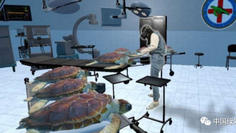 虚拟现实模拟技术让人类以海龟的视角观察世界，从而塑造人们的环保信念