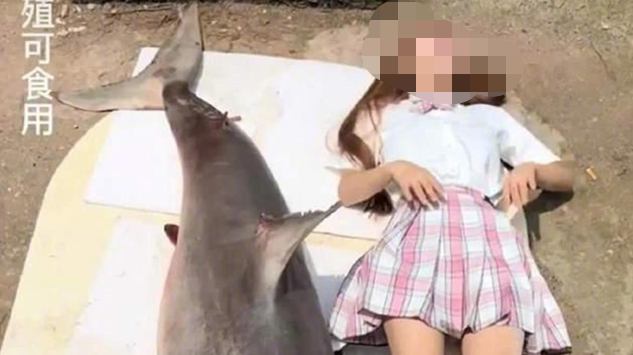 “网红吃大白鲨”后续：被罚12.5万元，2人被逮捕