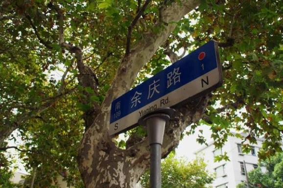 荡荡马路 | 余庆路-这条短短的小路，典雅而又浪漫