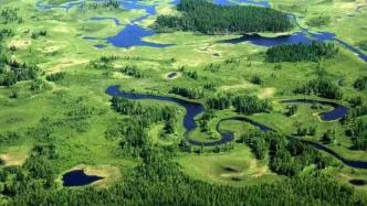 【世界湿地日】沾河：利用网络平台开展湿地保护宣传