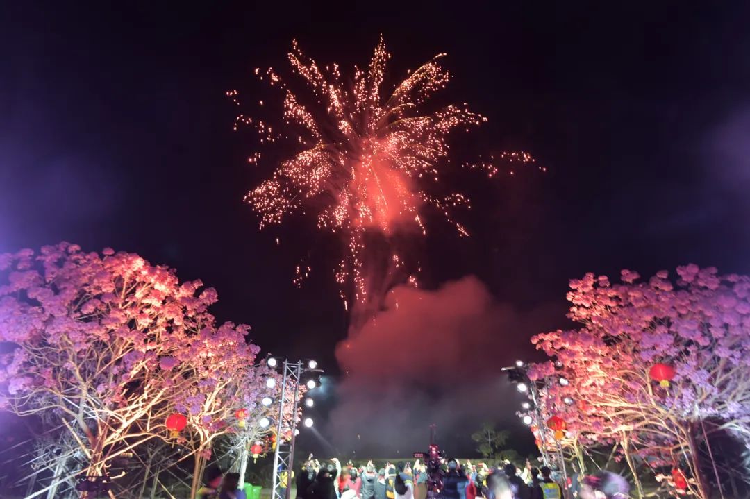 行通济、烟花秀、醒狮表演、花海晚会…元宵节三水火爆出圈_澎湃号·政务_澎湃新闻-The Paper