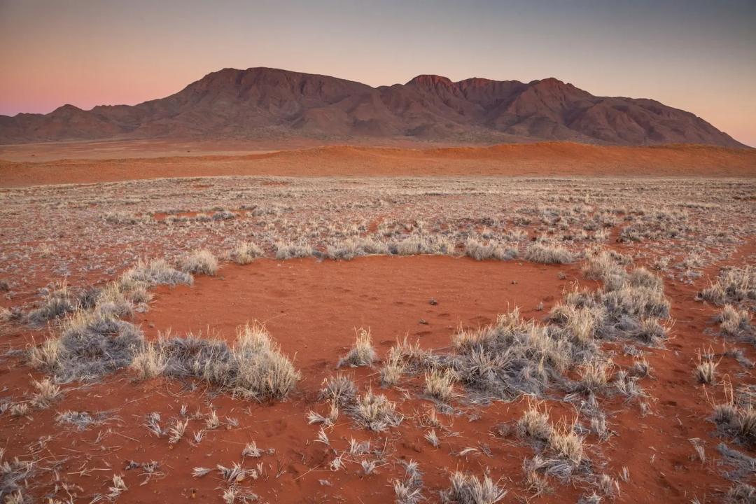 namib desert fairy circles        
        <figure class=