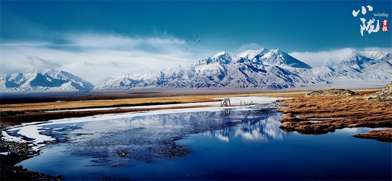 酒泉肃北:草原生态美 绘就戈壁新画卷_澎湃号·政务_澎湃新闻-the