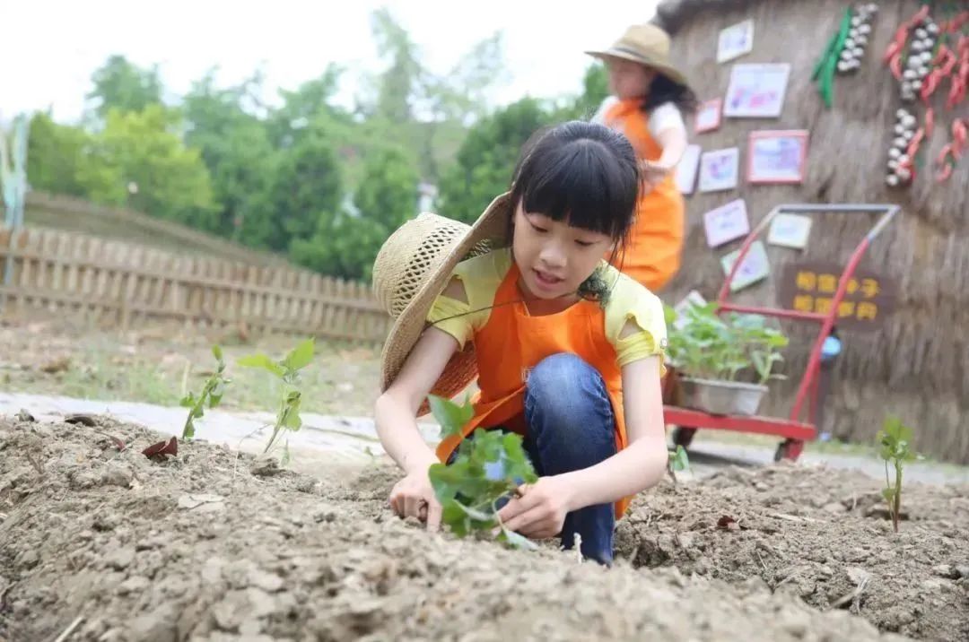 心谷养体验种植收获的乐趣,食用新鲜的蔬果周末回归乡村,呼吸新鲜空气