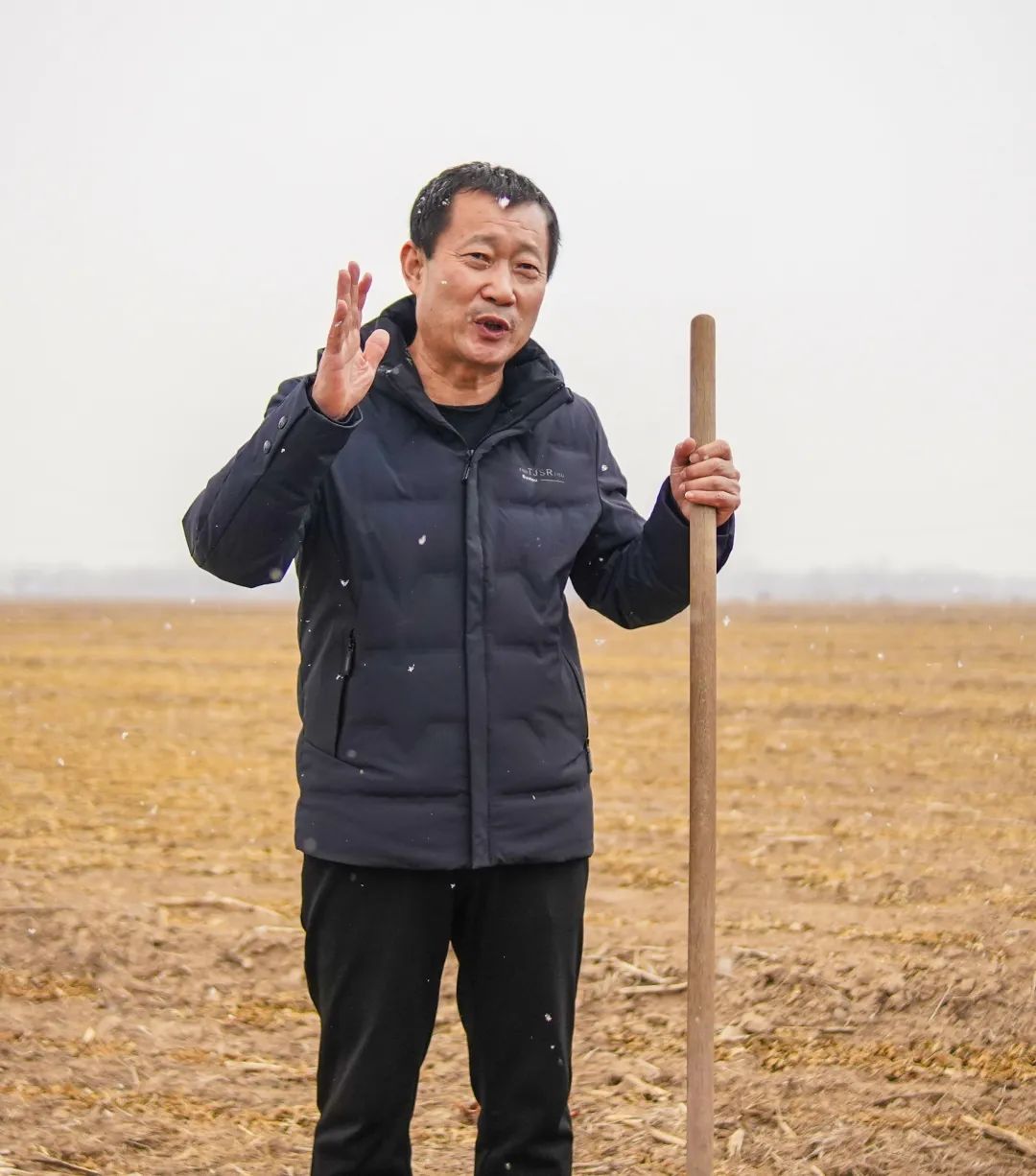 【优化营商环境促发展】河北省油菜产业绿色革命科技行动研讨会在阜城