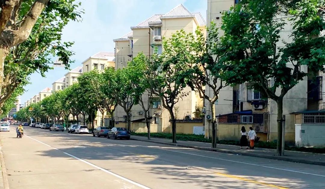 案例| 上海浦东新区金杨新村街道社区:赋权平等,空间正义与低碳发展的