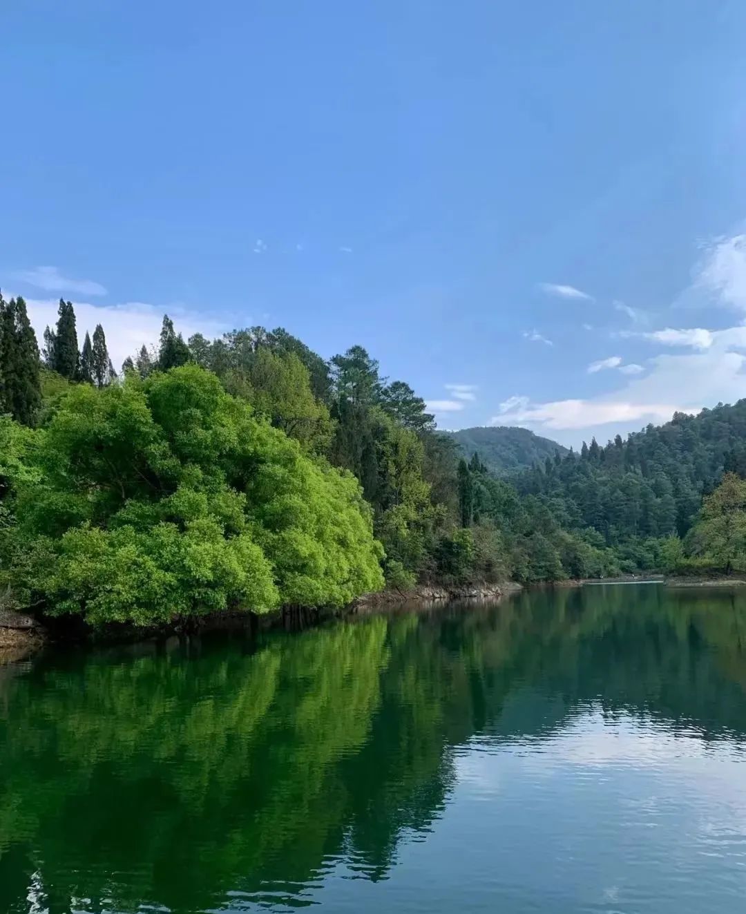 故事：樵夫上山砍柴，看到九个美女跳舞，回家立刻让妻子蒸馒头-搜狐大视野-搜狐新闻