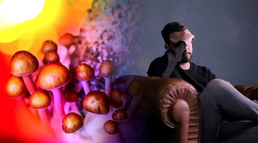 570.jpg