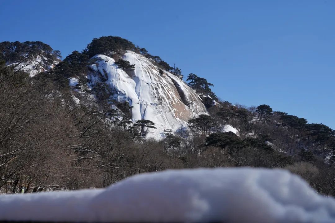 千山正门雪景图片