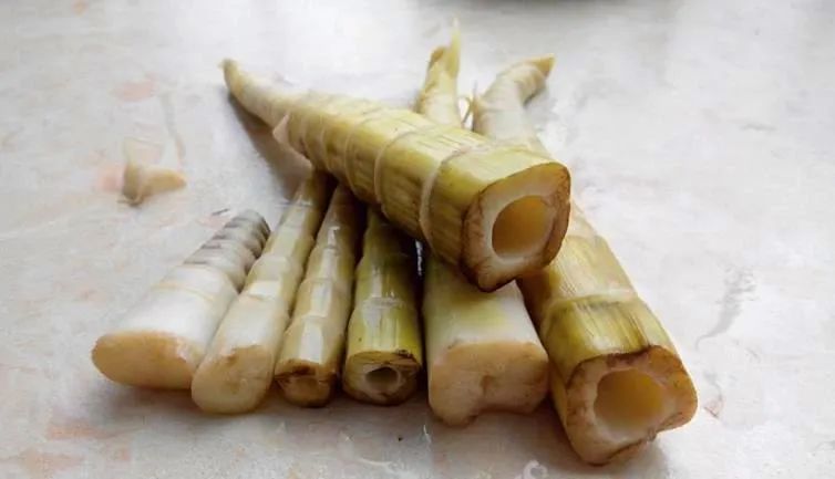 时令新味，春食_澎湃号·媒体_澎湃新闻-The Paper