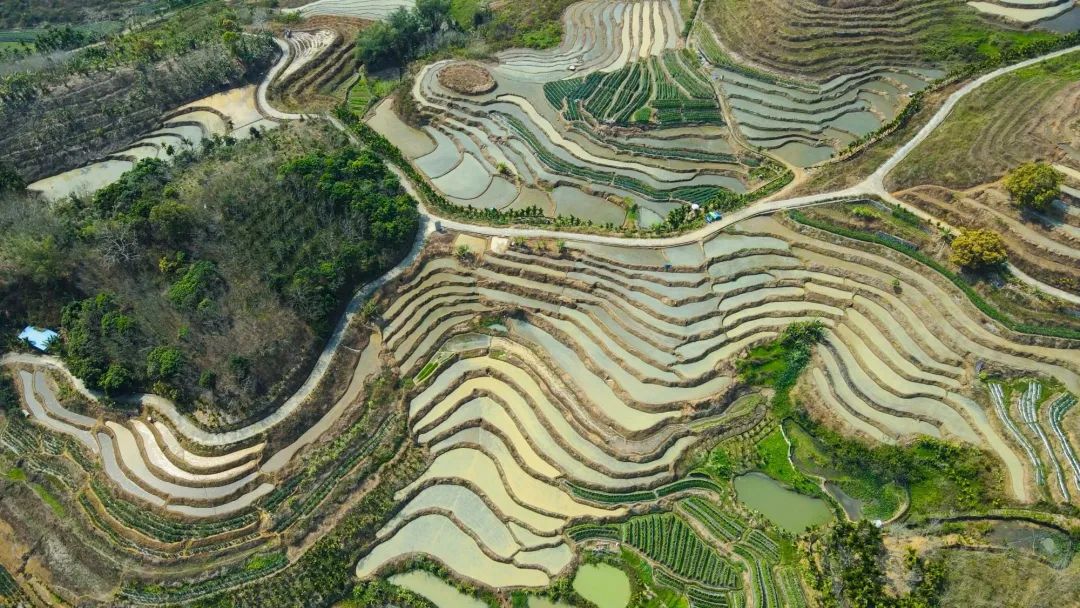 【发现春之美】海南五指山:牙胡梯田换"新装" 光影澹澹似"银镜"_澎湃
