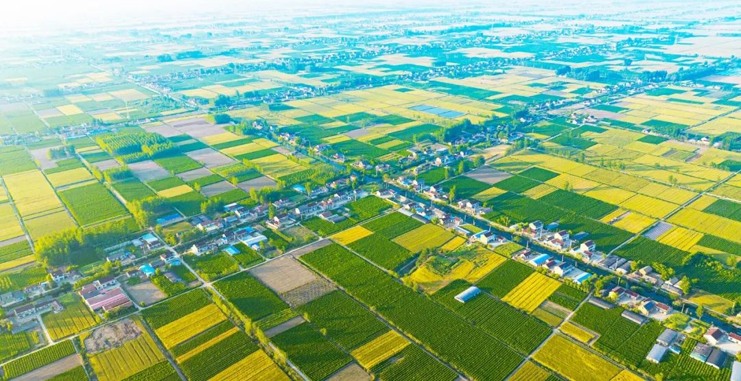 特庸镇:凝心聚力开新局 笃行致远谋新篇_澎湃号·媒体_澎湃新闻-the