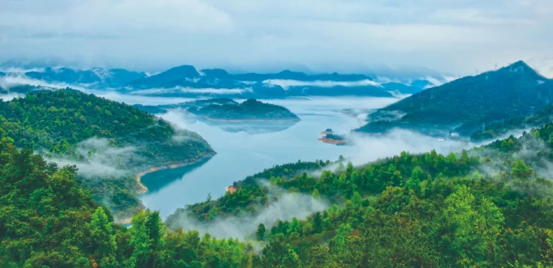 激发县域经济活力乳源这么干