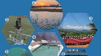 “共护天鹅湖”，打造生物多样性保护与能源电力示范案例