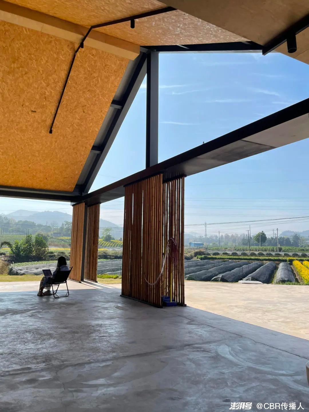 数字游民：不只是诗和远方