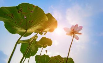 還沒出梅卻已入伏，“夏練三伏”你準(zhǔn)備好了嗎？