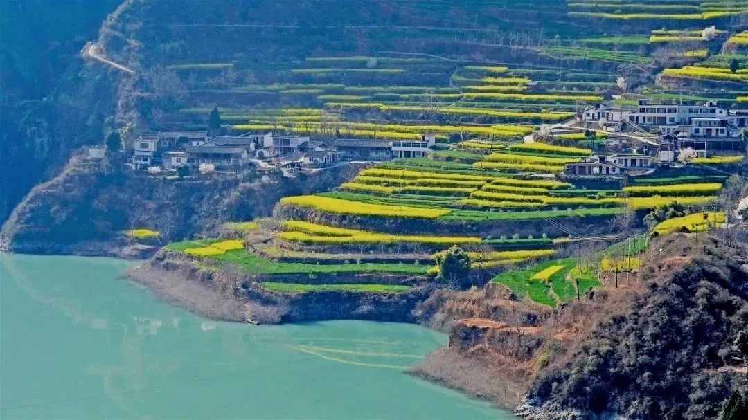 波荡摇春光,向着陇南的春天出发吧_澎湃号·政务_澎湃新闻-the paper