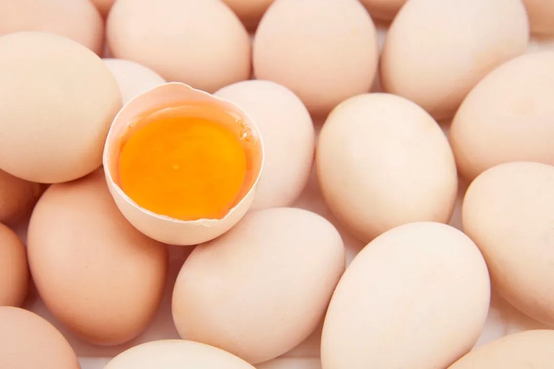 红皮鸡蛋真的比白皮鸡蛋更有营养吗?买鸡蛋该怎么挑选?