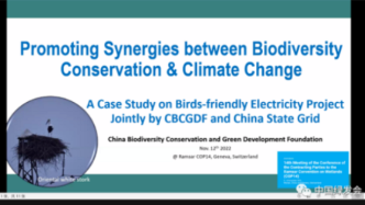 中國綠發(fā)會受邀參加《保護野生動物遷徙物種公約》能源工作組COP14準備會議
