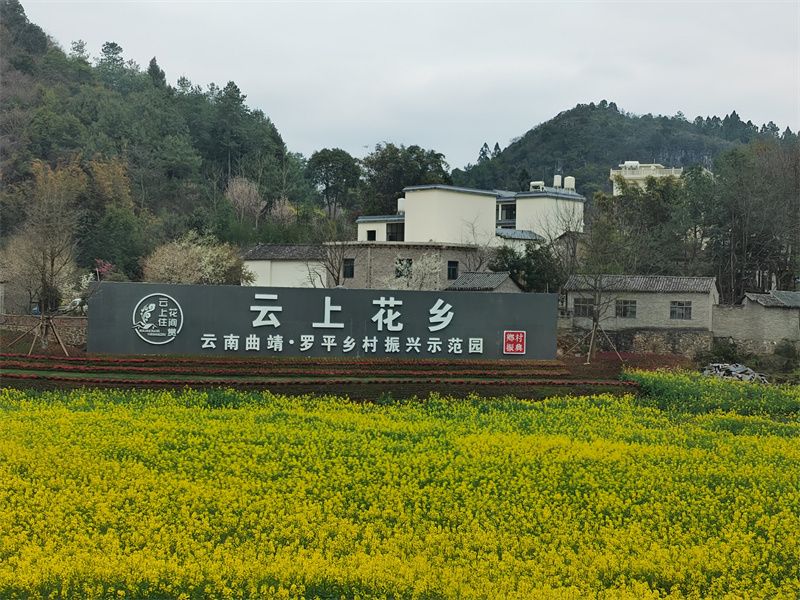 澎湃新闻