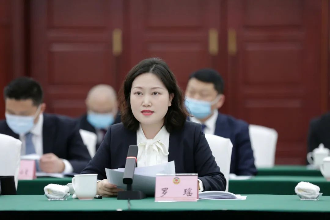 委员声音女政协委员参政议政积极建言献策
