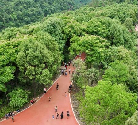 (夷陵萬達-小溪塔森林公園)夷陵區賞花觀鳥專線2線路走向:從夷陵廣場