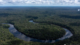 研究团队在巴西亚马逊雨林寻找消失的物种