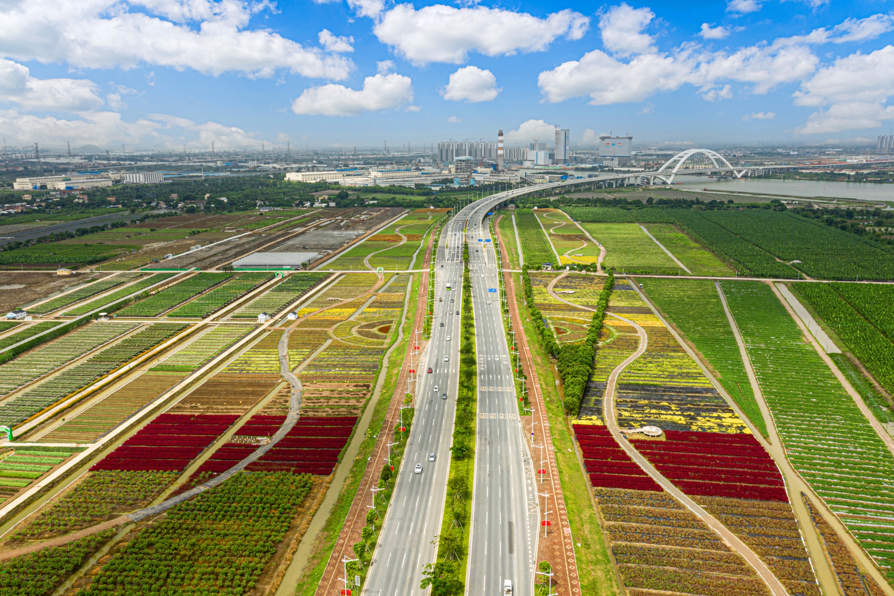 广州南沙签约多个农业重点项目投资金额达224亿元