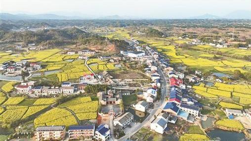 湖南岳阳平江县：花海扮靓乡村