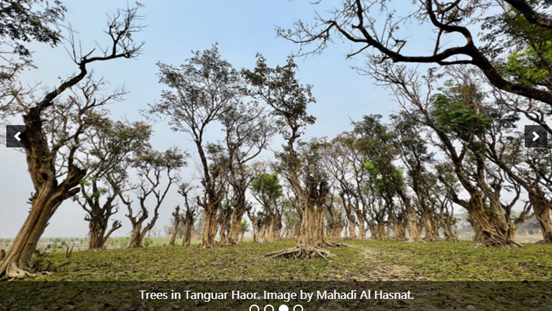 争取拉姆萨尔湿地地位并不能保证孟加拉国的重要湿地得到保护