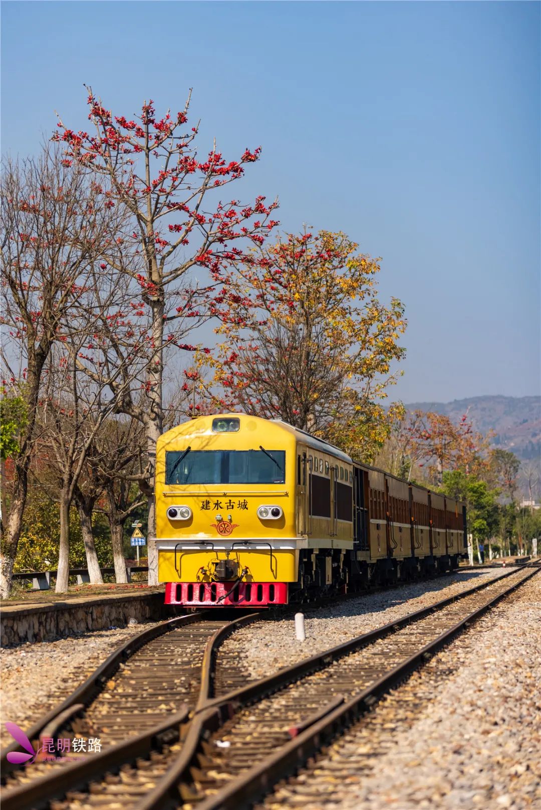 "三八"节女性乘坐建水小火车享半价优惠