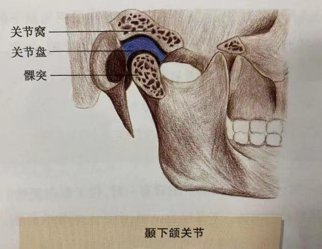 19岁的我,一个误判让肿瘤诊断晚了半年