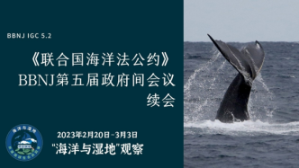 《联合国海洋法公约》BBNJ第五届政府间会议续会第八天：3月1日海湿观察