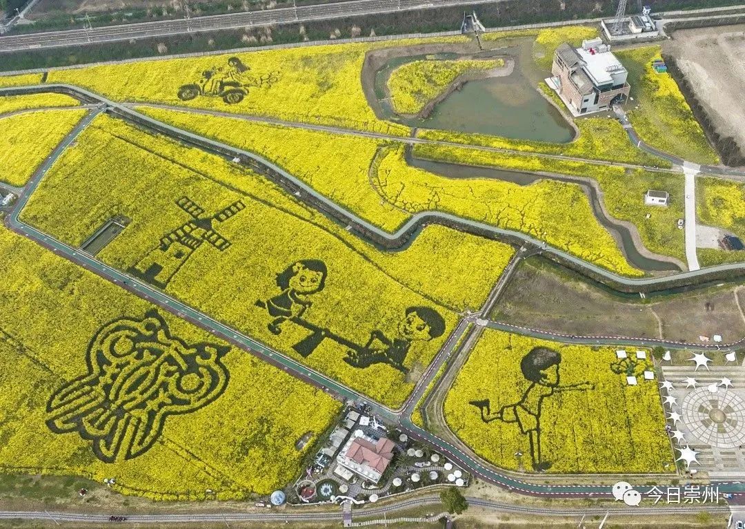 连绵成片的油菜花天府粮仓国家现代农业产业园位于隆兴镇的大田景观一