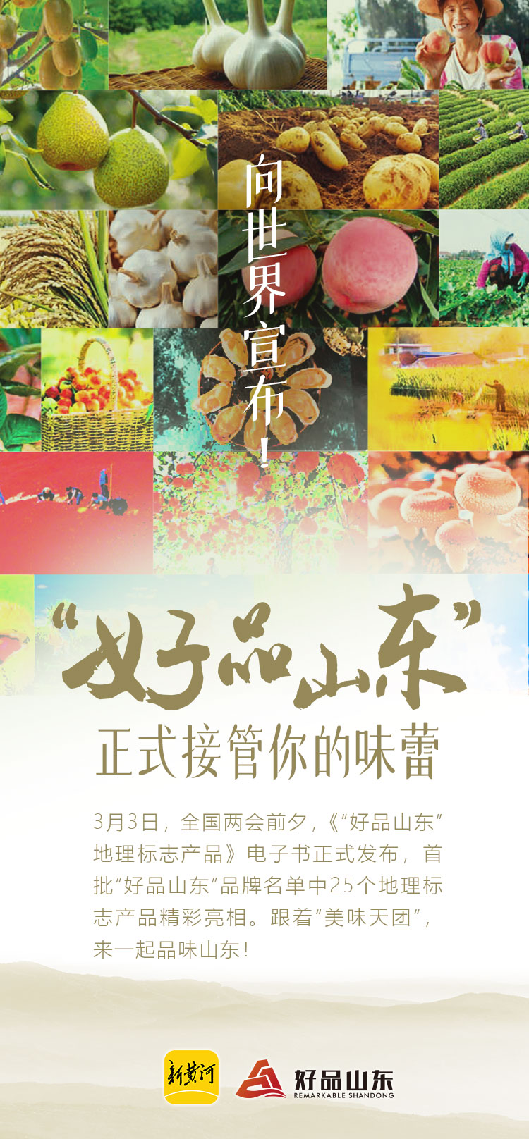 "好品山东"正式接管你的味蕾_澎湃号·媒体_澎湃新闻-the paper